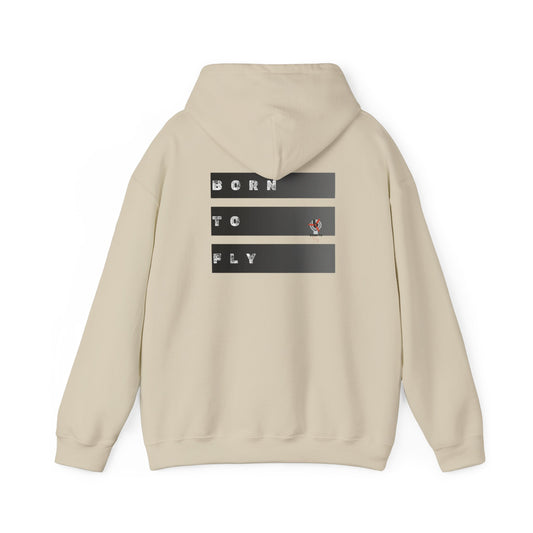 "Fly it like you stole it" Hoodie