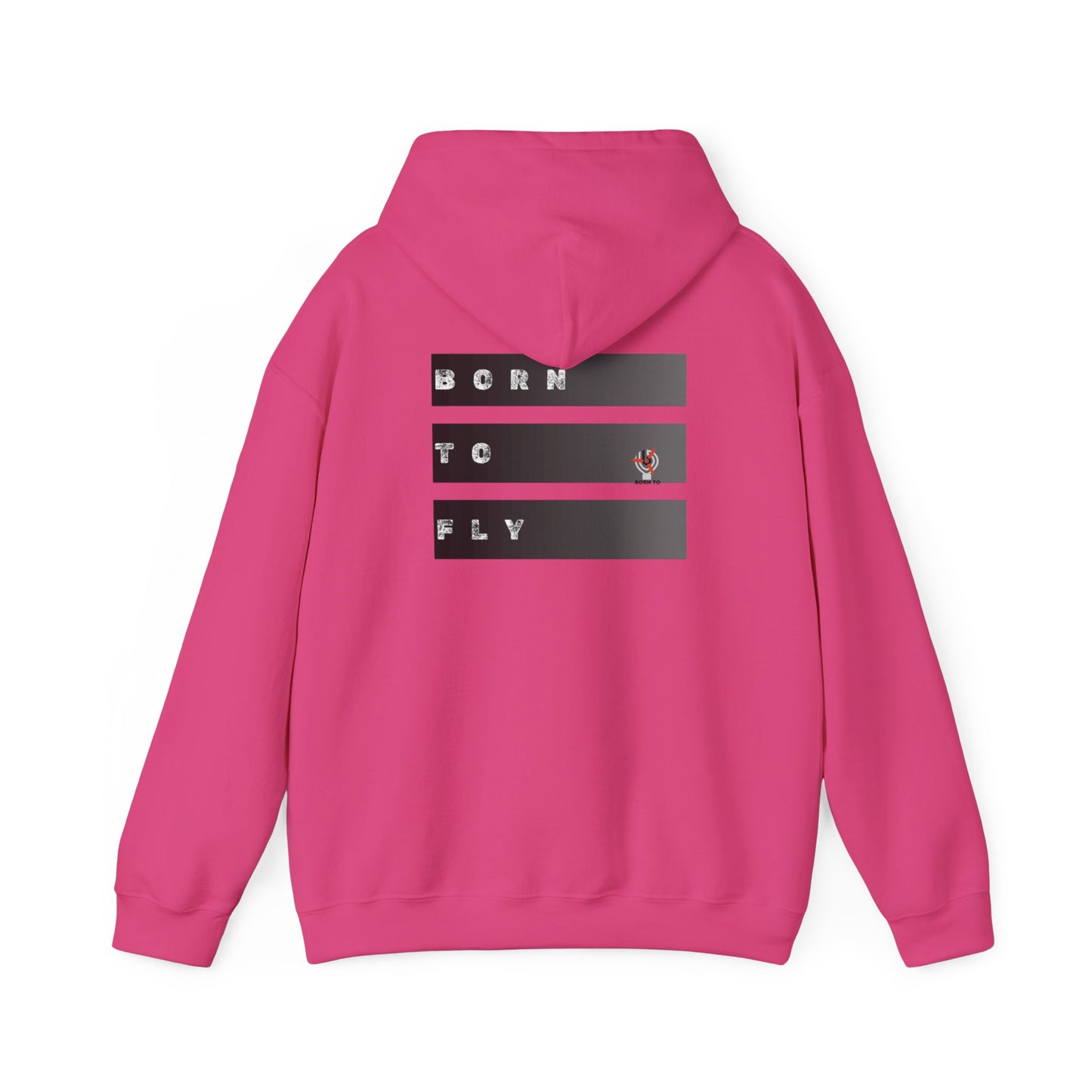 "Fly it like you stole it" Hoodie