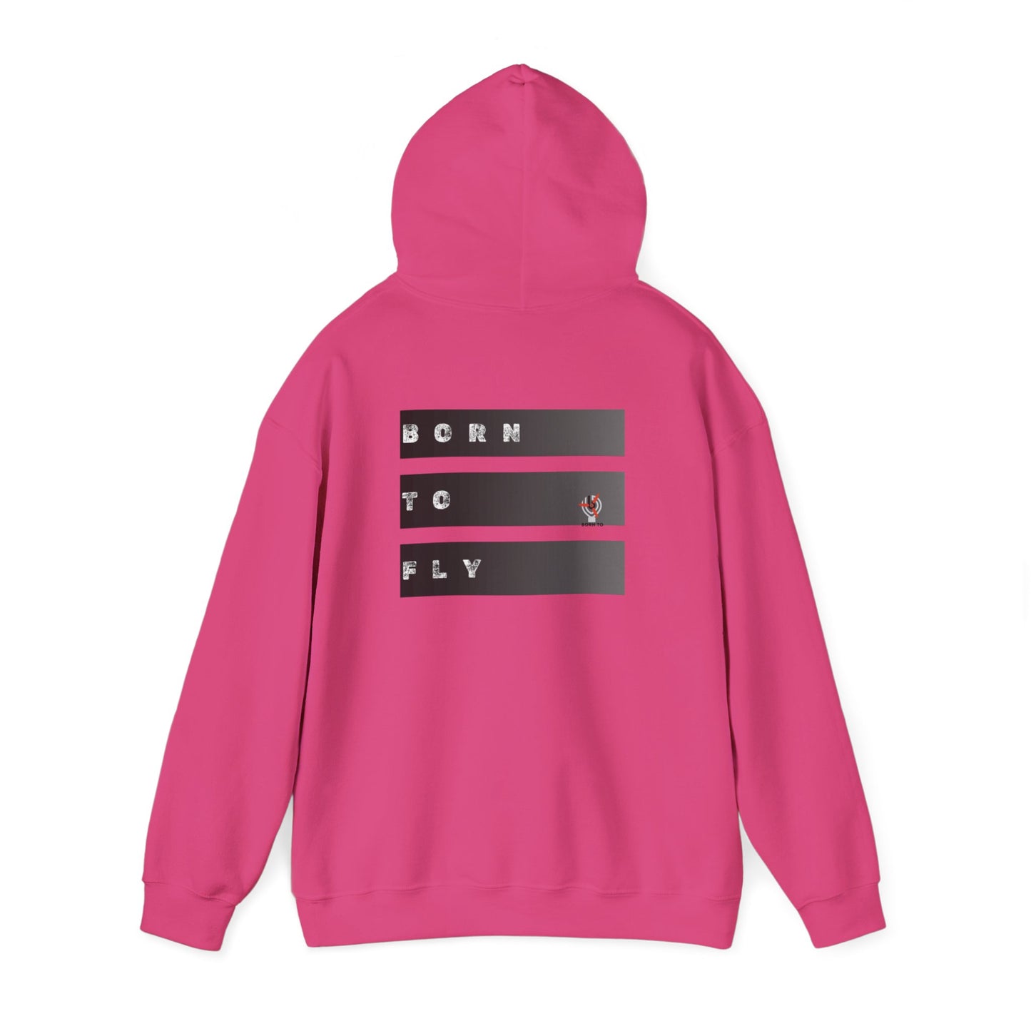 "Fly it like you stole it" Hoodie